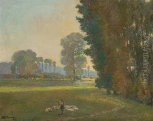 Troupeau De Moutons Au Bord Du Cours D""eau - view 1