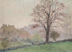 View In Montgomery (wales) by Henri Ottevaere