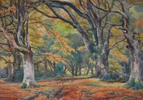 Forest Path In Autumn - view 1