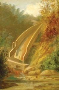 The Sluice Box