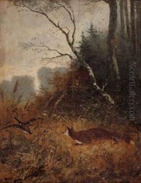 Fuchs Auf Entenjagd - view 1