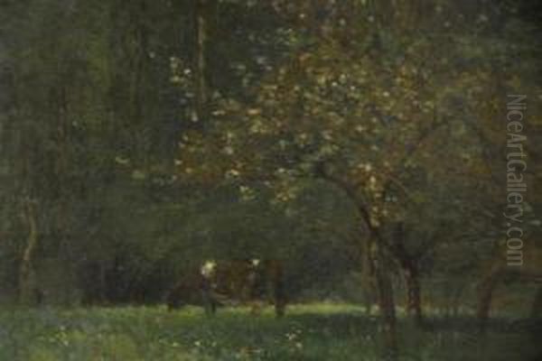 Cow In Pasture - view 1