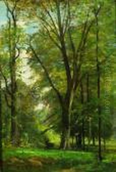 Woodland View - view 1