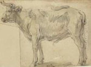 Taureau by Jean-Baptiste Oudry