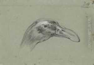 Tete De Canard
