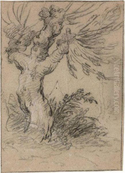 A Pollarded Oak Tree - view 1