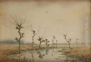 Marais by Nestor Outer