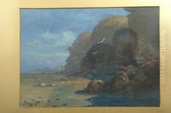 Beach And Cliffs At High Tide - view 1
