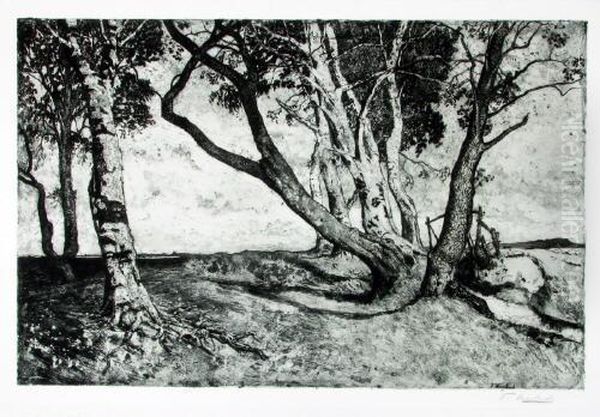 Am Rande Des Moores - view 1