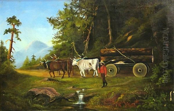 Lumbering In Tuolumne, California - view 1