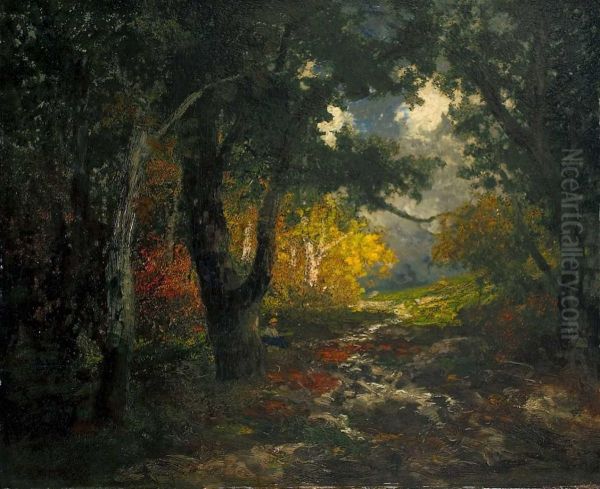 Waldlandschaft - view 1