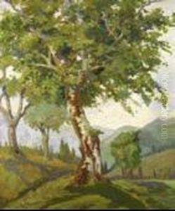 Il Quercione Il Quercione