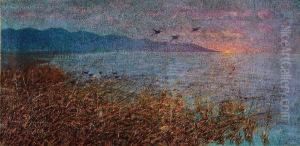Lago Dimassaciuccoli by Ferruccio Pagni