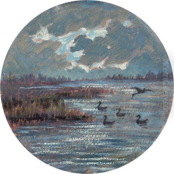 Stagno - view 1