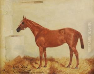 Little 'star' by George Paice