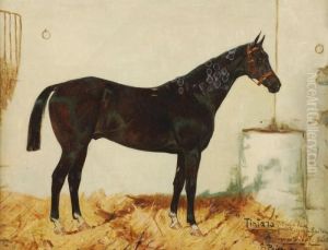 Tintara