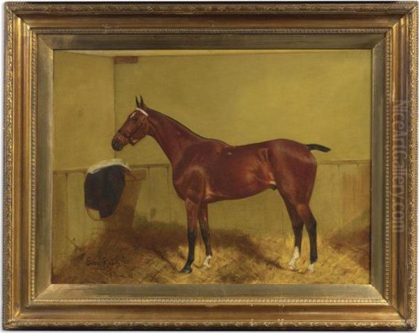 Ever Ready, A Polo Pony - view 1