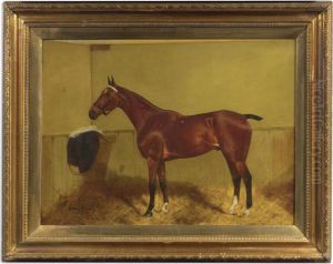 Ever Ready, A Polo Pony by George Paice