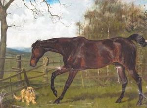 A Hunter With Companion