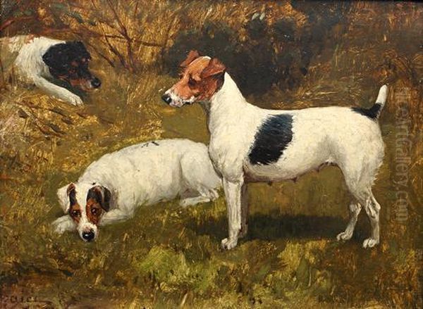Study Of Three Jack Russells - view 1