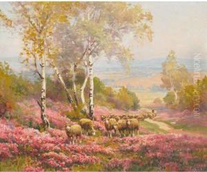 Sheep In A Flowering Meadow by Edouard Pail