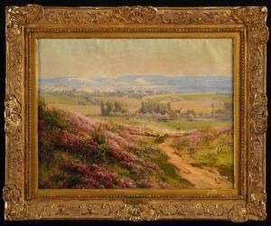 Hills In Bloom