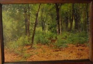 Chevreuils Dans La Foret by Edouard Pail