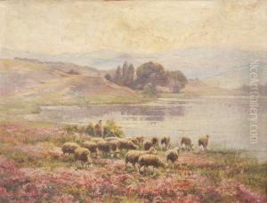 Les Moutons Dans La Bruyere by Edouard Pail
