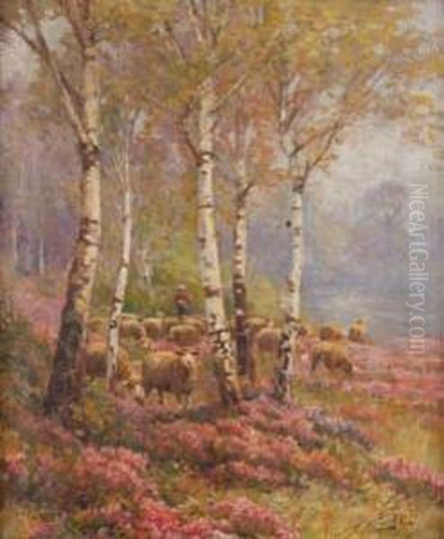 Moutons Dans La Lande - view 1