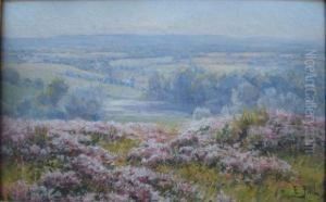 Paysage Aux Bruyeres by Edouard Pail