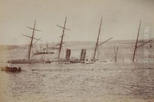 Sinking Of The Australis,sydney by John Paine