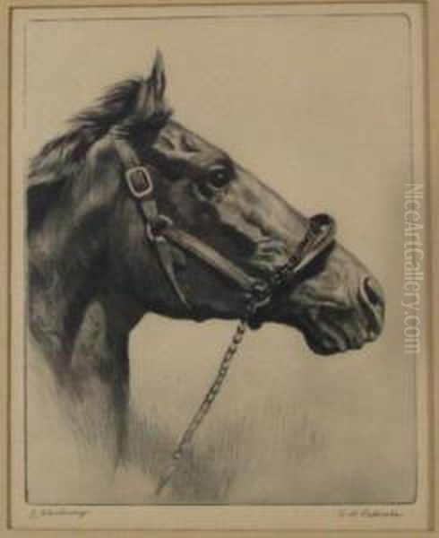 "whirlaway" - view 1