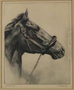 "whirlaway" "whirlaway"