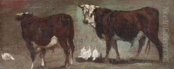 Vaches Et Poules - view 1
