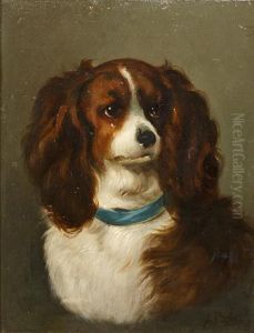 King Charles Spaniel