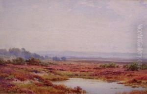 Heathland