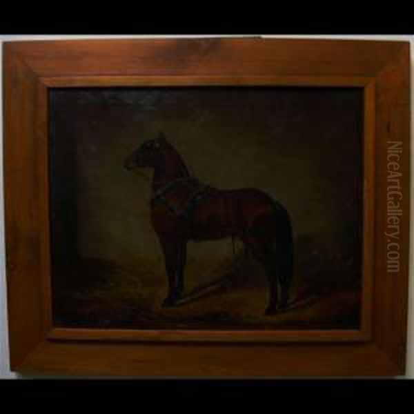 Chestnut Horse In Stall - view 1