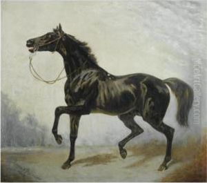 A Dark Bay Horse In An Extensive Landscape by James Lynwood Palmer