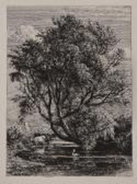 The Willow - view 1