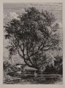 The Willow by Samuel Palmer
