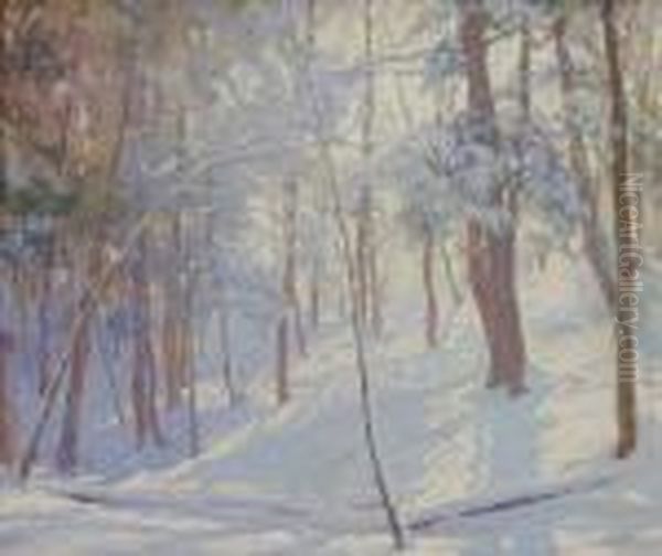 Winter Woods - view 1