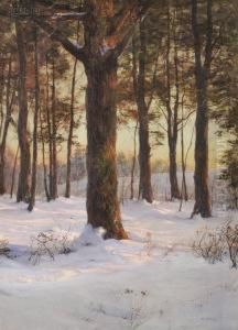 The Pine Grove