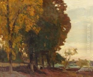 Bewaldete Parklandschaft