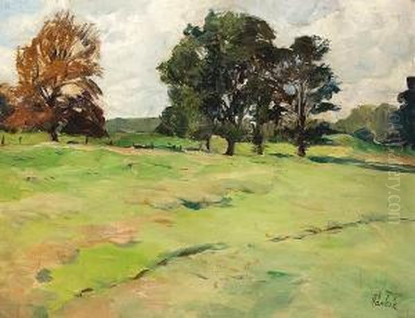 O.t. (wiesenlandschaft) - view 1