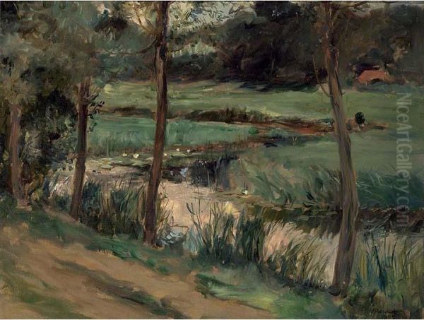 Along A River - view 1