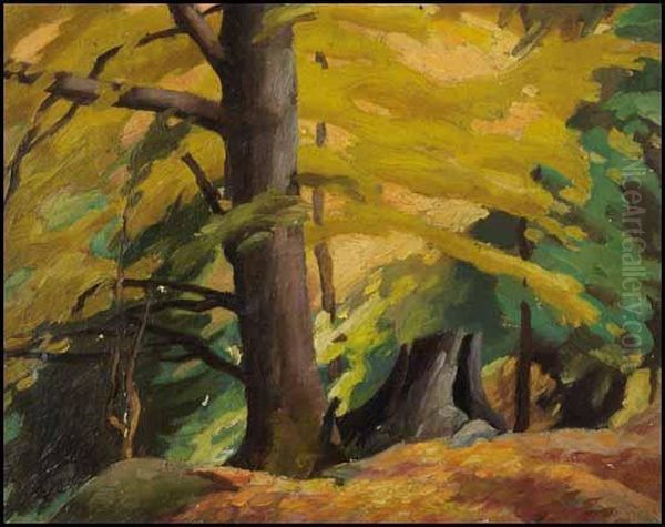 Forest Scene - view 1