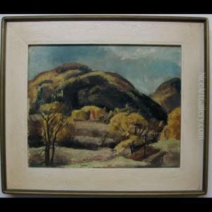 Landscape Study Landscape Study