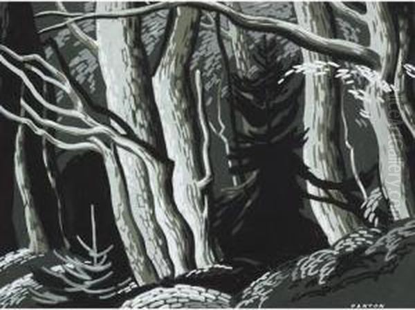 Forest Interior - view 1