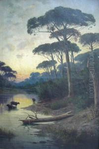 Atardecer Con Bufalos - view 1