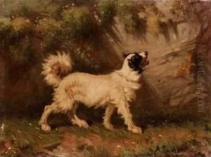 Cane Bianco by Antonio Paoletti